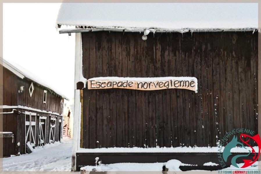 Escapade Norvegienne Apartment Tolga Exterior photo
